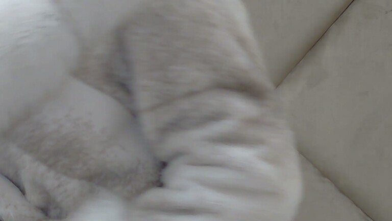 AlyssaSpicy's Streamate show and profile